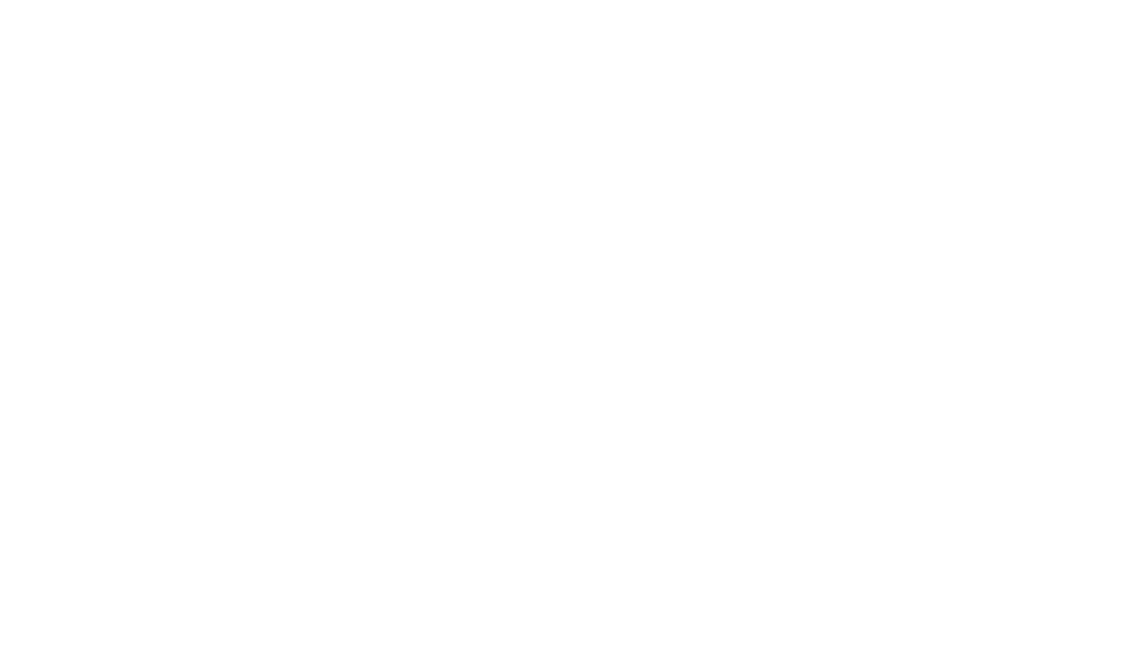 Define Professional
